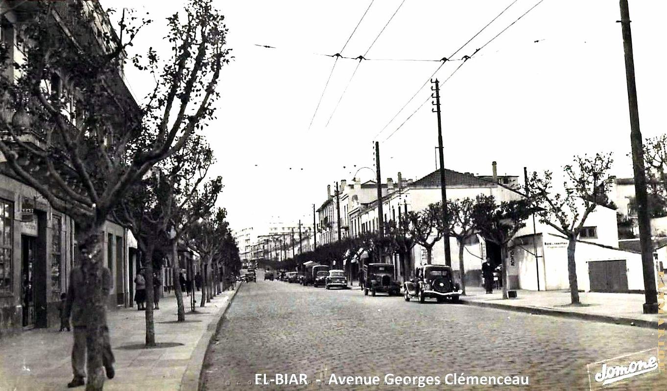 Alger-El-Biar - Avenue Georges Clemenceau.jpg